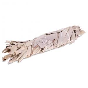 Връзка БЯЛА САЛВИЯ за кадене 30 гр. White Sage (Salvia officinalis)