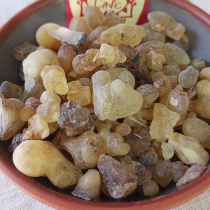 Бял тамян Окулта ( Boswellia occulta )