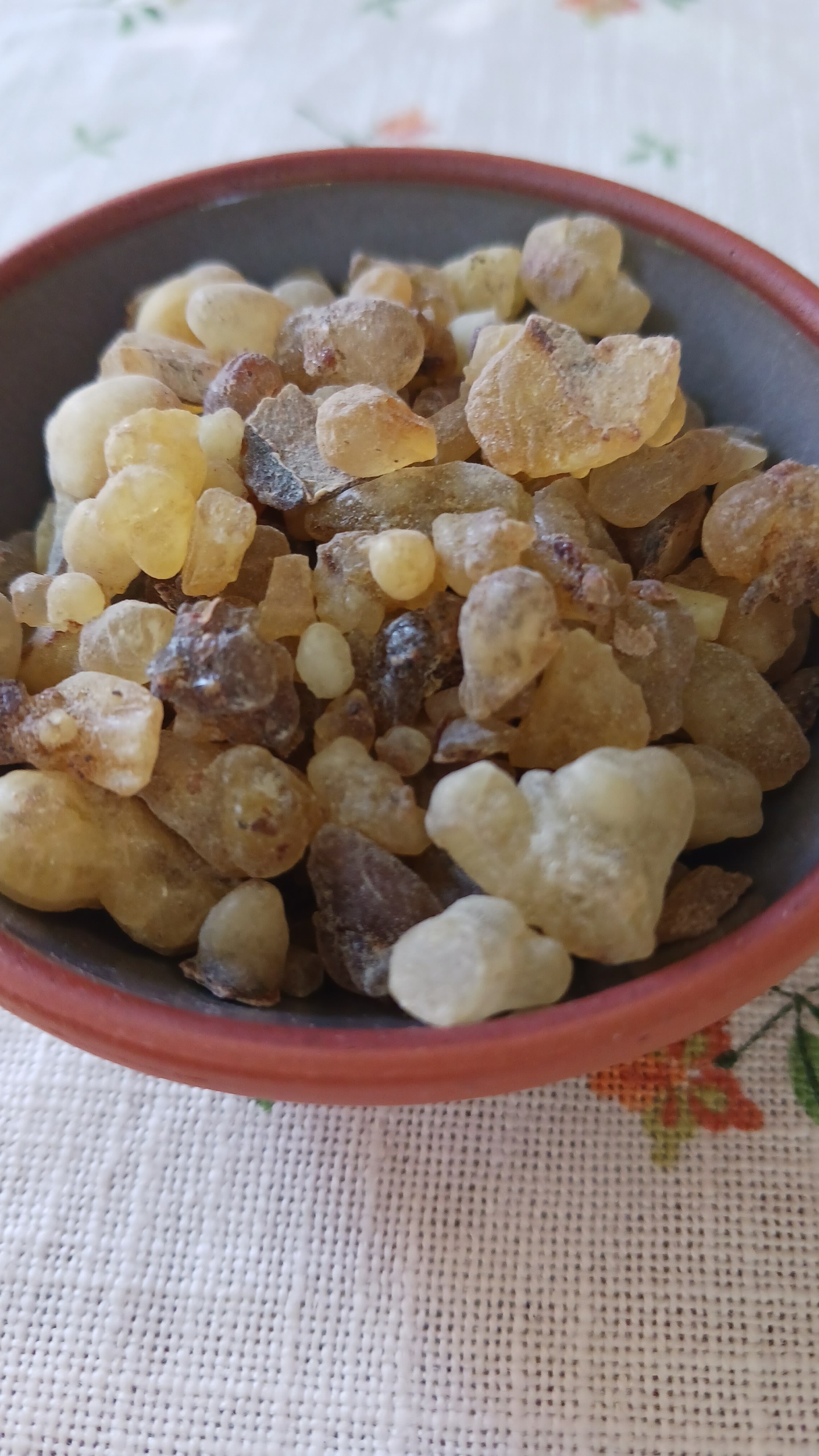 Бял тамян Окулта ( Boswellia occulta ) - Image 2