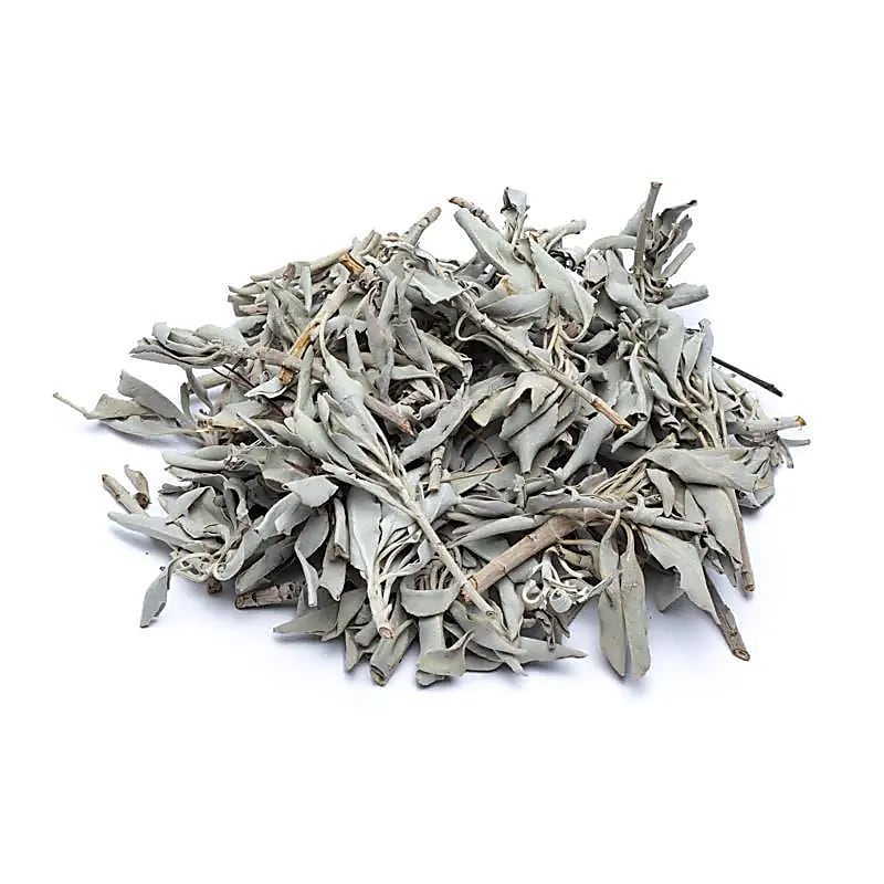 Бял Градински чай - Бяла салвия (Salvia Apiana)